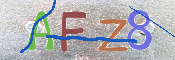 キャプチャ画像
