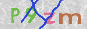 キャプチャ画像