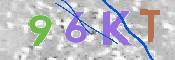 キャプチャ画像