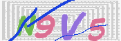 キャプチャ画像