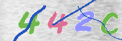 キャプチャ画像