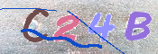 キャプチャ画像