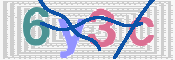 キャプチャ画像
