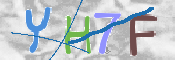 キャプチャ画像