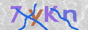 キャプチャ画像