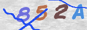 キャプチャ画像