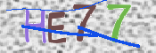 キャプチャ画像