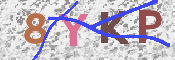 キャプチャ画像