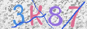 キャプチャ画像