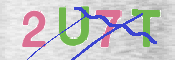 キャプチャ画像