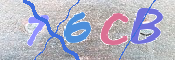 キャプチャ画像