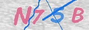 キャプチャ画像