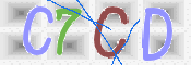 キャプチャ画像