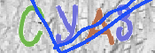 キャプチャ画像