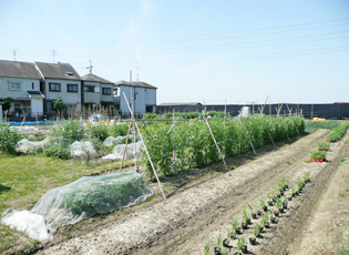 当社マイファーム（京都府宇治市）